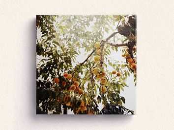 Canvas Wrap