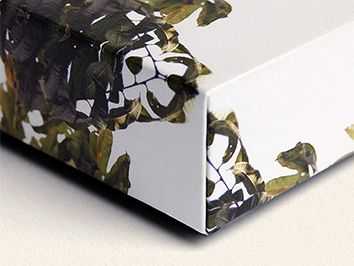 Canvas Wrap