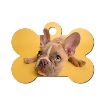 Pet Tag - Bone