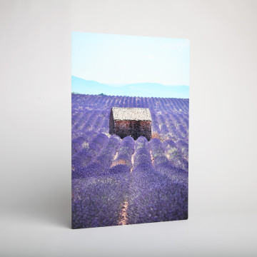 HD Metal Prints