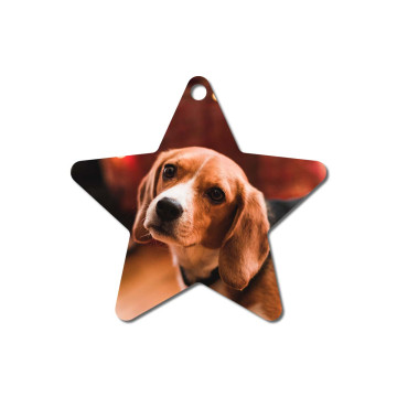 Star-shaped ornament with an image of a dog