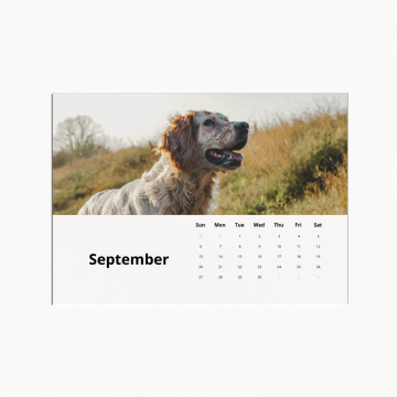 Calendar Cards