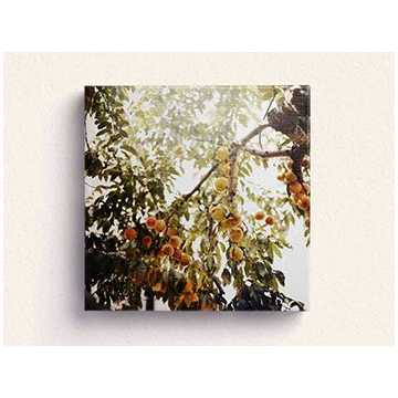 Canvas Wrap