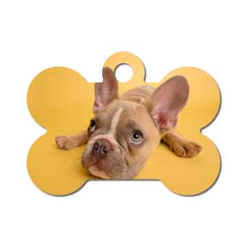 Pet Tag - Bone