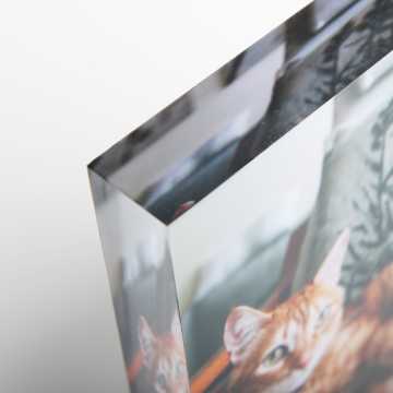 Plexi Tabletop