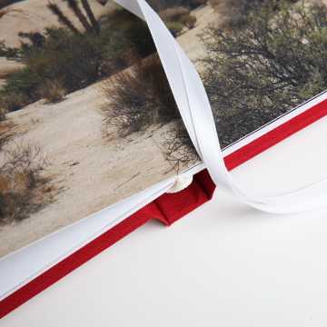 ReNew PhotoAlbum