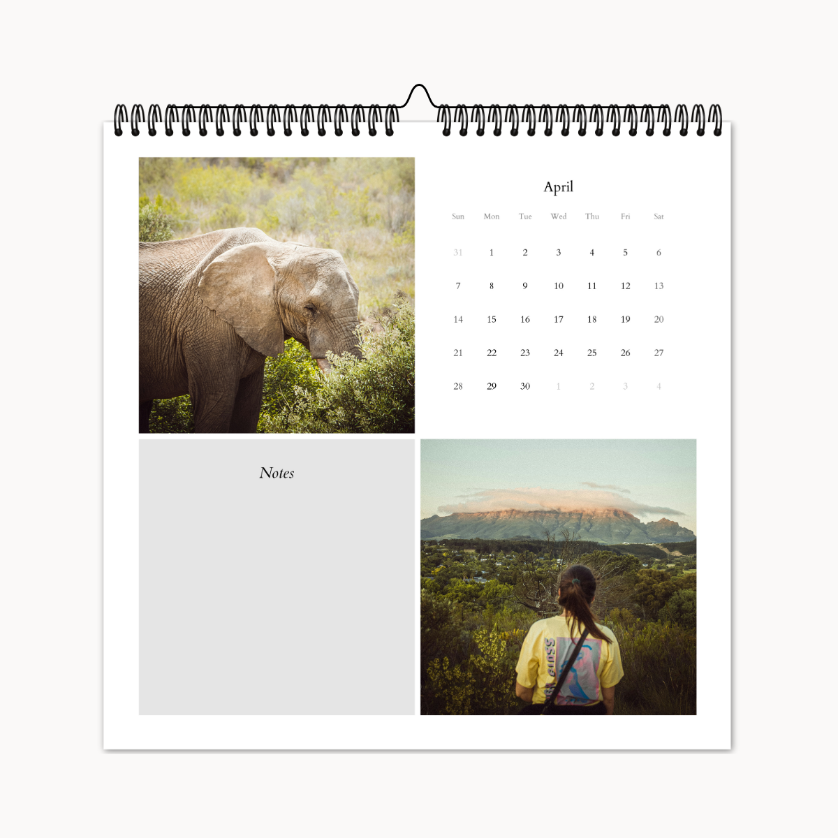 Wall Calendars