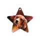 Star-shaped ornament with an image of a dog