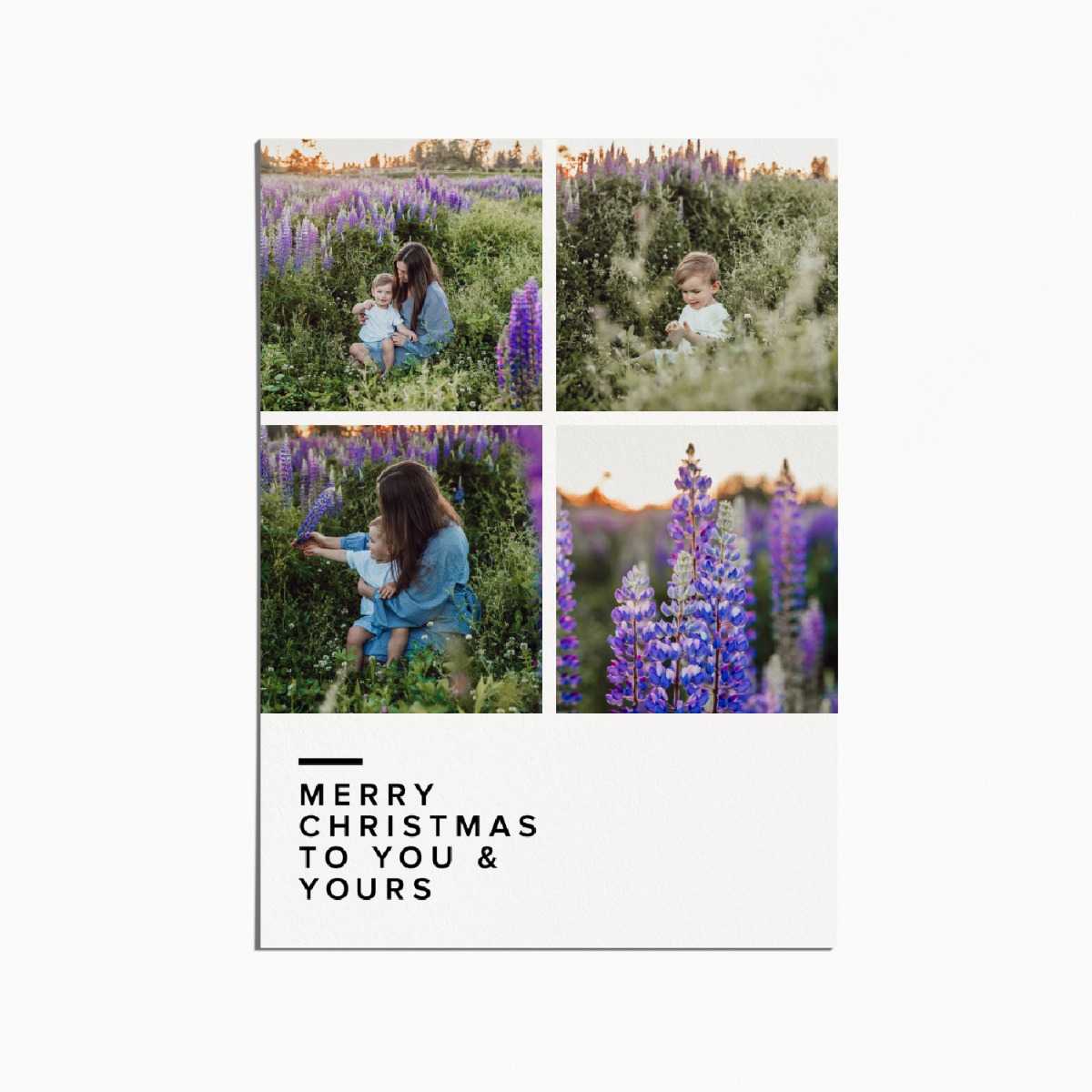 Holiday card with 4 images of a mother and child sitting in a field of lupin flowers