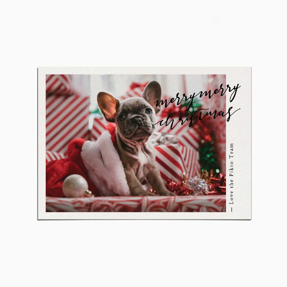 Holiday card with an image of a puppy standing amongst a pile of gifts wrapped in candy cane wrapping paper