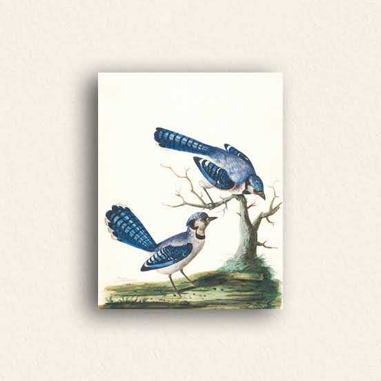 photo panel, mounted print, photo print mounted on foam board