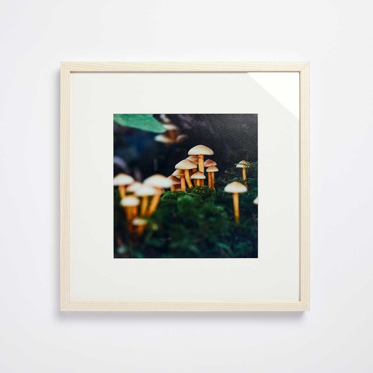 Nature photo framed