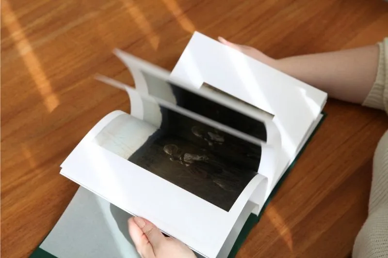 Collection Page Banner: Hardcover 2